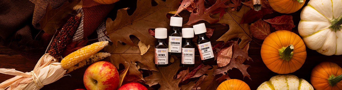 Fall Favorites 
