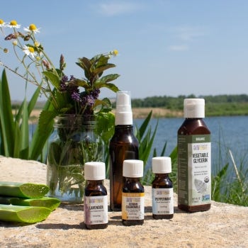 Soothing Summer Mist with Aloe