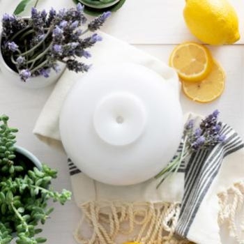 Eucalyptus Peppermint Essential Oil Diffusion