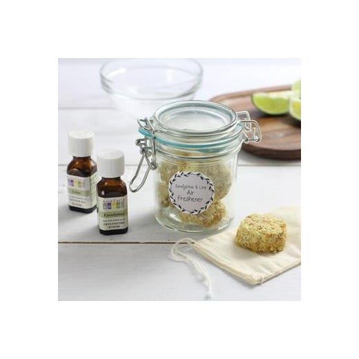 Air Freshener Briquettes with Eucalyptus Essential Oil Air Freshener Briquettes with Eucalyptus Essential Oil