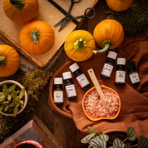 Pumpkin Salt Diffuser Pumpkin Salt Diffuser