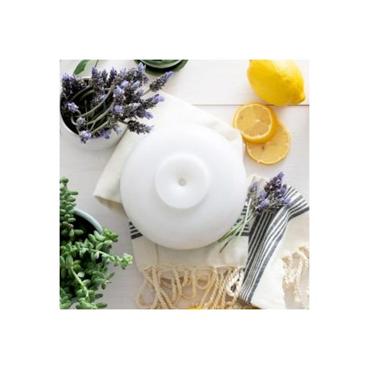 Eucalyptus Peppermint Essential Oil Diffusion Eucalyptus Peppermint Essential Oil Diffusion