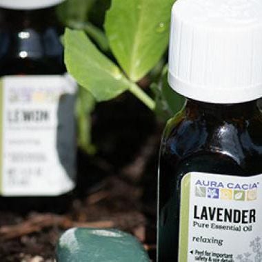 How to choose essential oils for summer