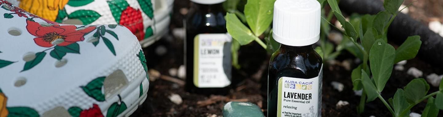 How to choose essential oils for summer