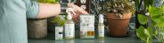 Artificial to Authentic: The Benefits of Switching to Essential Oil Air Fresheners